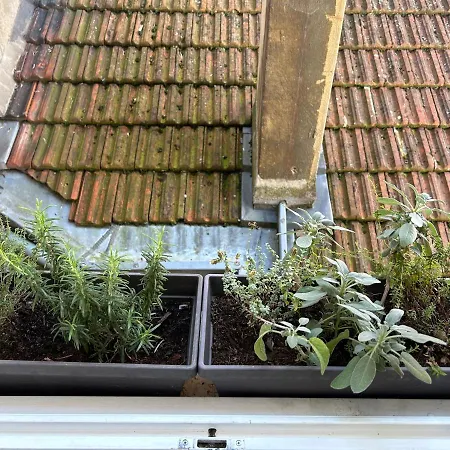 Appartement Le Lys